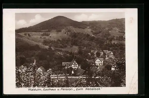 AK Waldulm, Ortsansicht, Gasthaus und Pension zum Rebstock