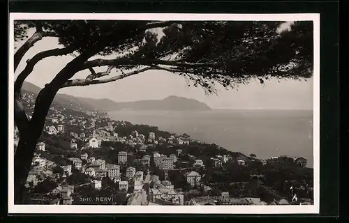 AK Nervi, Panorama