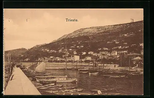 AK Trieste, Ortsansicht mit Blick über den Hafen