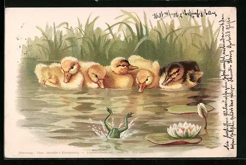 Lithographie Frösche springen in einen Teich mit Entenküken