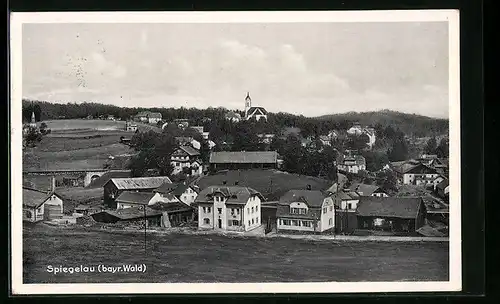 AK Spiegelau /bayr. Wald, Ortsansicht mit Umland