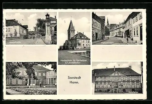 AK Sarstedt-Hann., Gasthaus Ratskeller, Hochschule für Gartenbau und Landeskultur, Verwaltungsschule