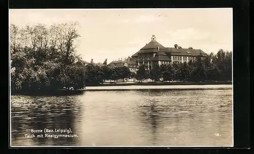 AK Borna, Teich mit Realgynasium