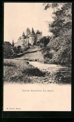 AK Mayen, Schloss Bürresheim