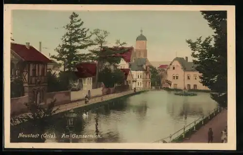 AK Neustadt /Orla, Am Gamsenteich mit Kirche