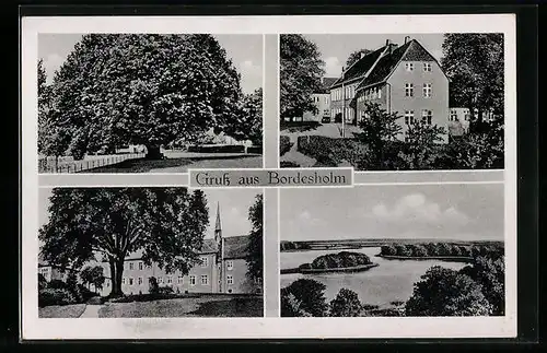 AK Bordesholm, Ortspartie, Baum, Uferpartie