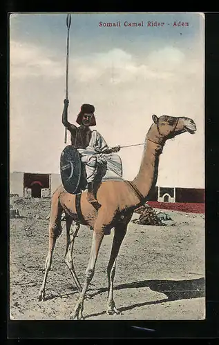 AK Aden, Somali Camel Rider, Somalischer Kamelreiter