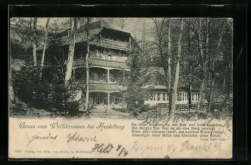 AK Heidelberg, Blick auf den Wolfsbrunnen