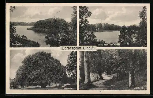 AK Bordesholm, Seepartie, Blick nach der Kirche, Dorflinde, Waldweg