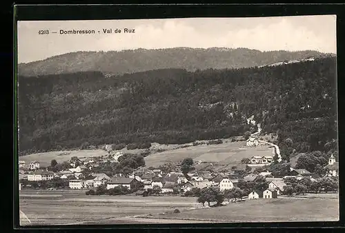 AK Dombresson /Val de Ruz, Gesamtansicht mit Landstrasse aus der Vogelschau