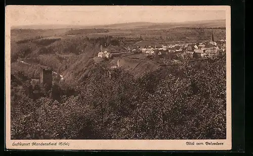 AK Manderscheid /Eifel, Blick vom Belvedere