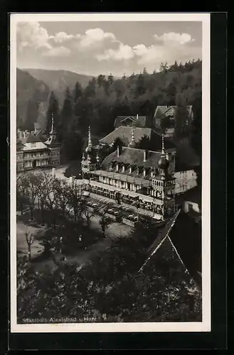 AK Alexisbad i. Harz, Ortsansicht aus der Ferne