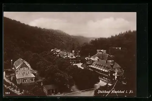 AK Alexisbad /Harz, Teilansicht mit Kurhäusern