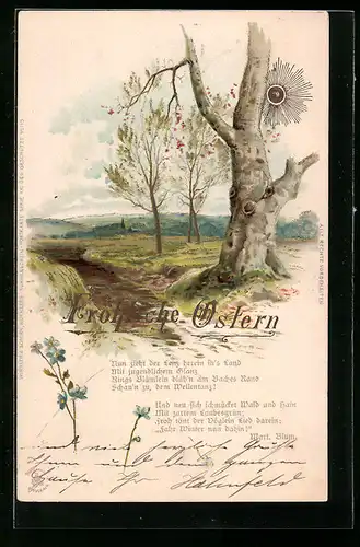 Sonnenschein-Lithographie Alter Baum steht am Flussufer, Ostern