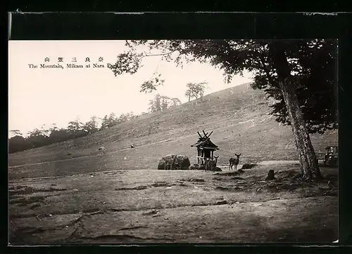 AK Nara, The Mountain, Mikasa at Nara Park