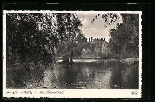 AK Bunzlau i. Schles., Am Odeonsteich, Schwäne im Wasser