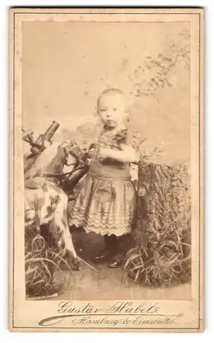 Fotografie Gustav Habel, Hamburg, kleines Mädchen mit Schaukelpferd auf Rädern