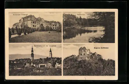 AK Greiffenberg i. Schl., Sanatorium Birkenhof, Ortsansicht mit Isergebirge, Parkansicht