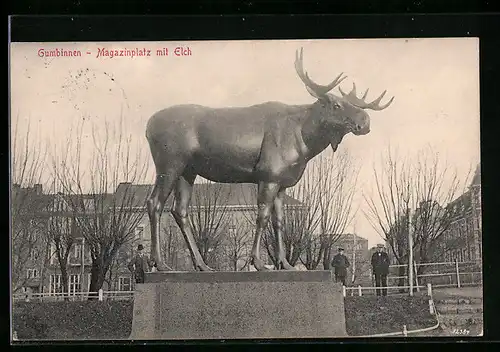 AK Gumbinnen, Magazinplatz mit Elch