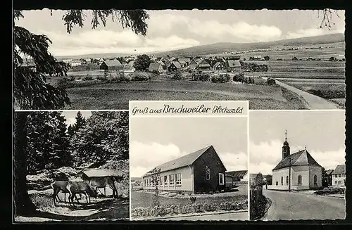 AK Bruchweiler bei Idar-Oberstein, Kirche, Gebäudeansicht, Rehe im Wald