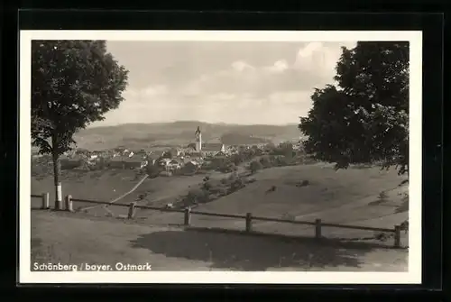 AK Schönberg /bayer. Ostmark, Ortsansicht aus der Ferne