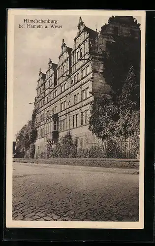 AK Hämelschenburg, Strassenpartie vor dem Schloss