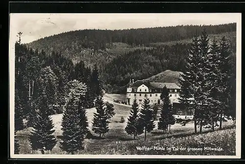 AK Mittweida-Markersbach, Wolfner-Mühle, Leiter Johannes Strohbach