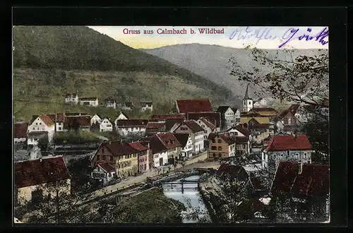 AK Calmbach b. Wildbach, Teilansicht des Ortes