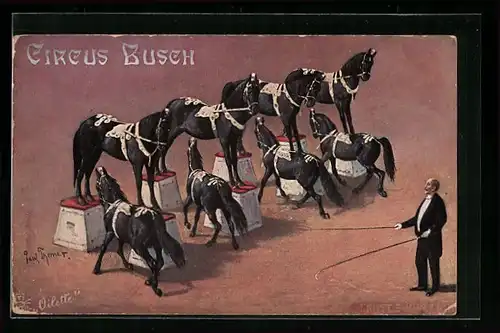 Künstler-AK Zirkus Busch, Dompteur Ernst Schumann mit seinen Pferden