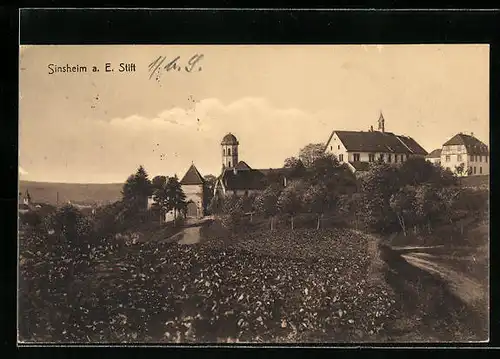 AK Sinsheim a. E., Blick zum Stift