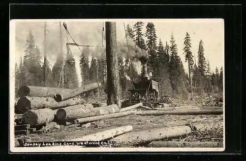 AK Westwood /Calif., Donkey Loading Cars, Forstwirtschaft