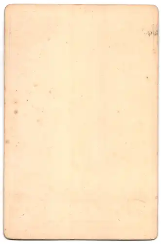 Fotografie Franz Hanfstaengl, München, Gemälde: Sepp`s erster Brief, nach F. Defregger