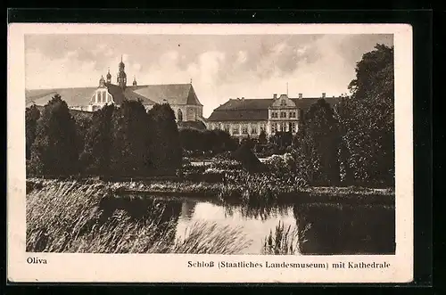 AK Oliva, Schloss (Staatliches Landesmuseum) mit Kathedrale