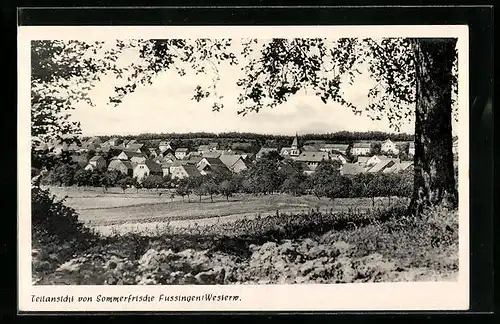 AK Fussingen /Westerw., Teilansicht aus der Ferne