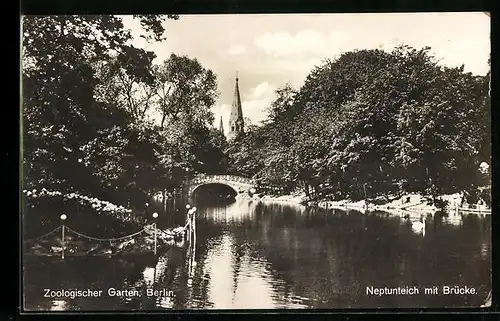 AK Berlin, Zoologischer Garten, Neptunteich mit Brücke