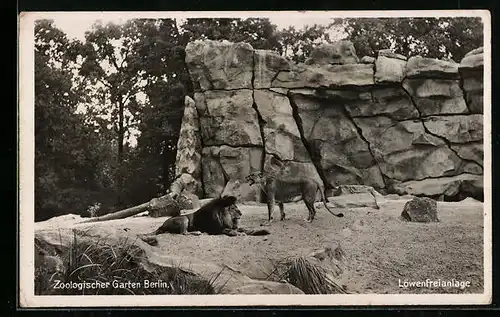 AK Berlin, Zoologischer Garten, Löwenfreianlage