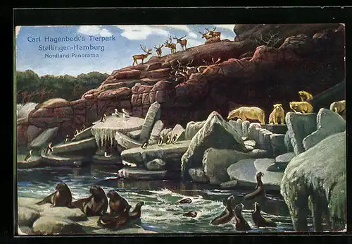 AK Hamburg-Stellingen, Carl Hagenbeck`s Tierpark, Nordland-Panorama