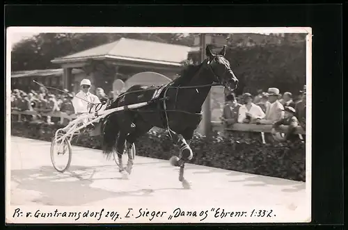 Foto-AK Wien, Pr. v. Guntramsdorf, I. Sieger Danaos, Pferderennen