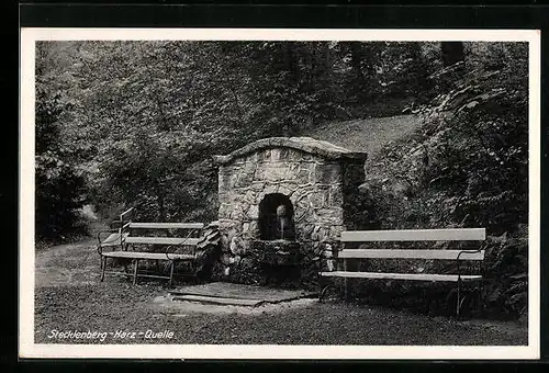 AK Stecklenberg im Harz, an der alten Quelle