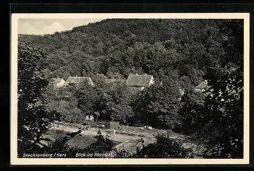 AK Stecklenberg im Harz, Blick ins Wurmtal