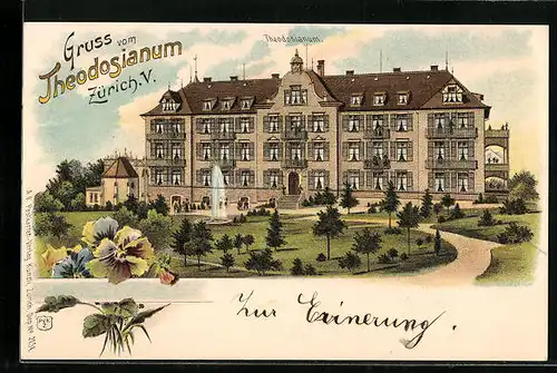 Lithographie Zürich, Blick auf das Theodosianum