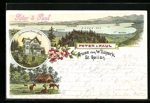 Lithographie St. Gallen, Restaurant Peter & Paul, Wildpark-Idylle, Totalansicht mit Bodensee