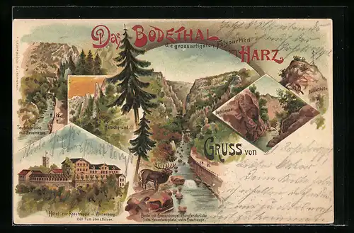 Lithographie Thale / Harz, Hotel zur Rosstrappe, Bodekessel, Hirschgrund