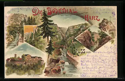 Lithographie Thale / Harz, Hotel zur Rosstrappe, Bodekessel, Hirschgrund