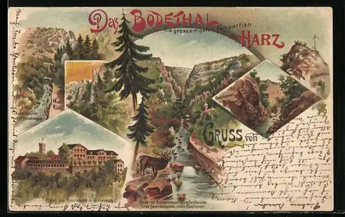 Lithographie Thale / Harz, Hotel zur Rosstrappe, Bodekessel, Hirschgrund