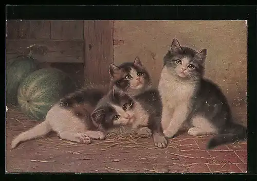 Künstler-AK niedliche Katzen im Vorratsraum neben Wassermelone