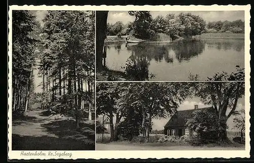 AK Hartenholm, Landschaftsidylle mit Teich und altem Haus