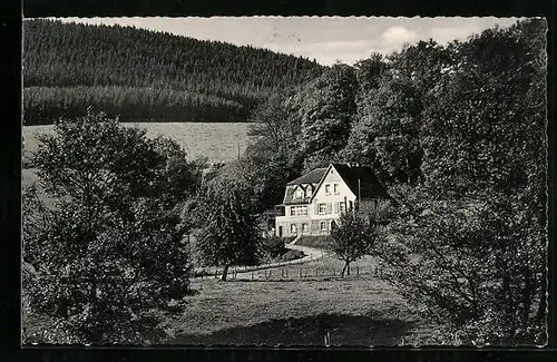 AK Wenholthausen / Sauerland, Hotel-Pension Haus Waldesruh