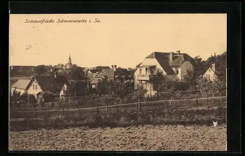 AK Schmannewitz i. Sa., Ortspartie mit Blick zur Kirche