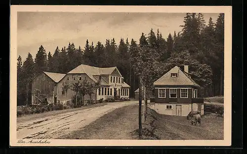 AK Stützerbach / Thür. Wald, Gasthof zum Auerhahn